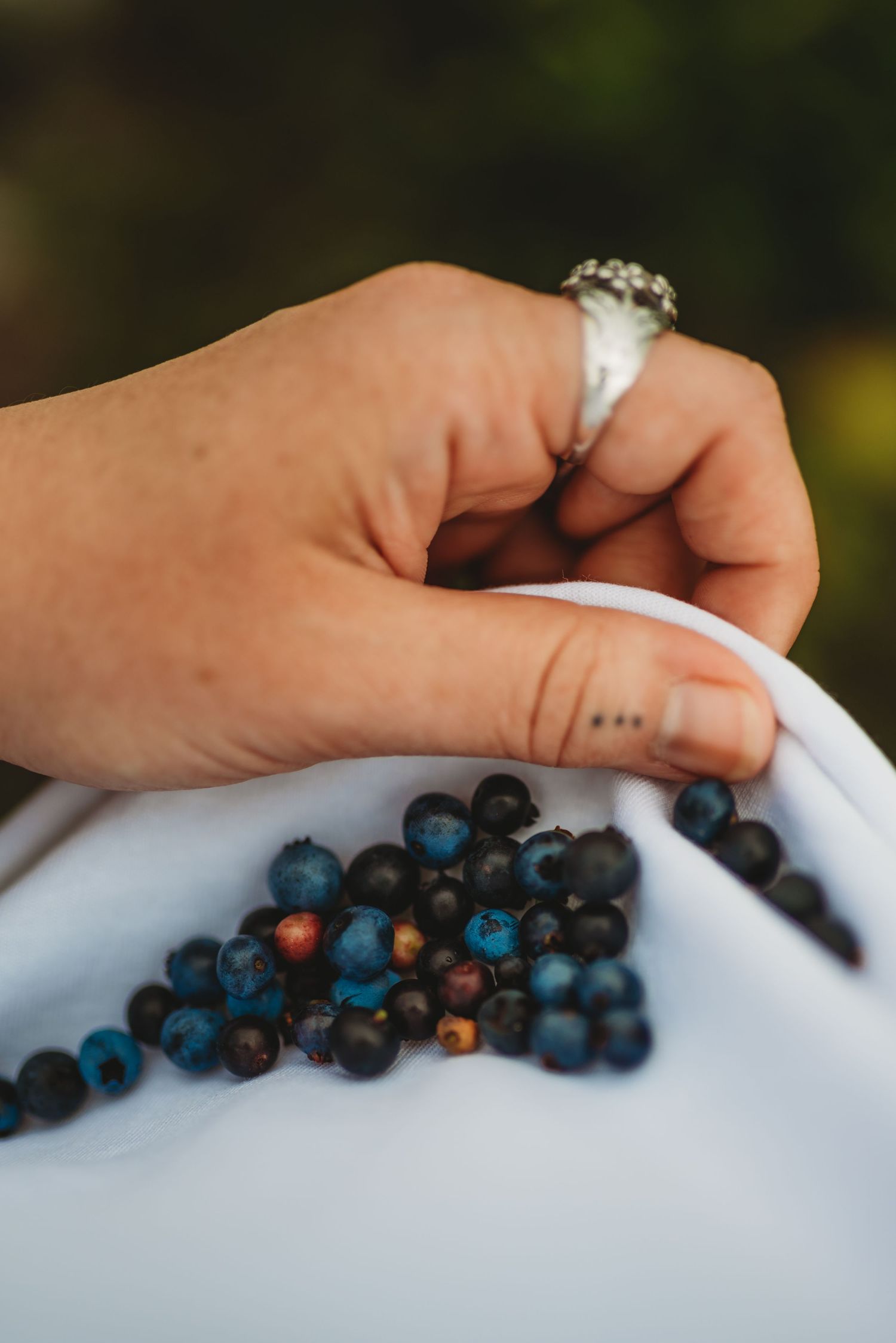 Freshly picked wild blueberries in a white container with a ring-adorned hand visible.
