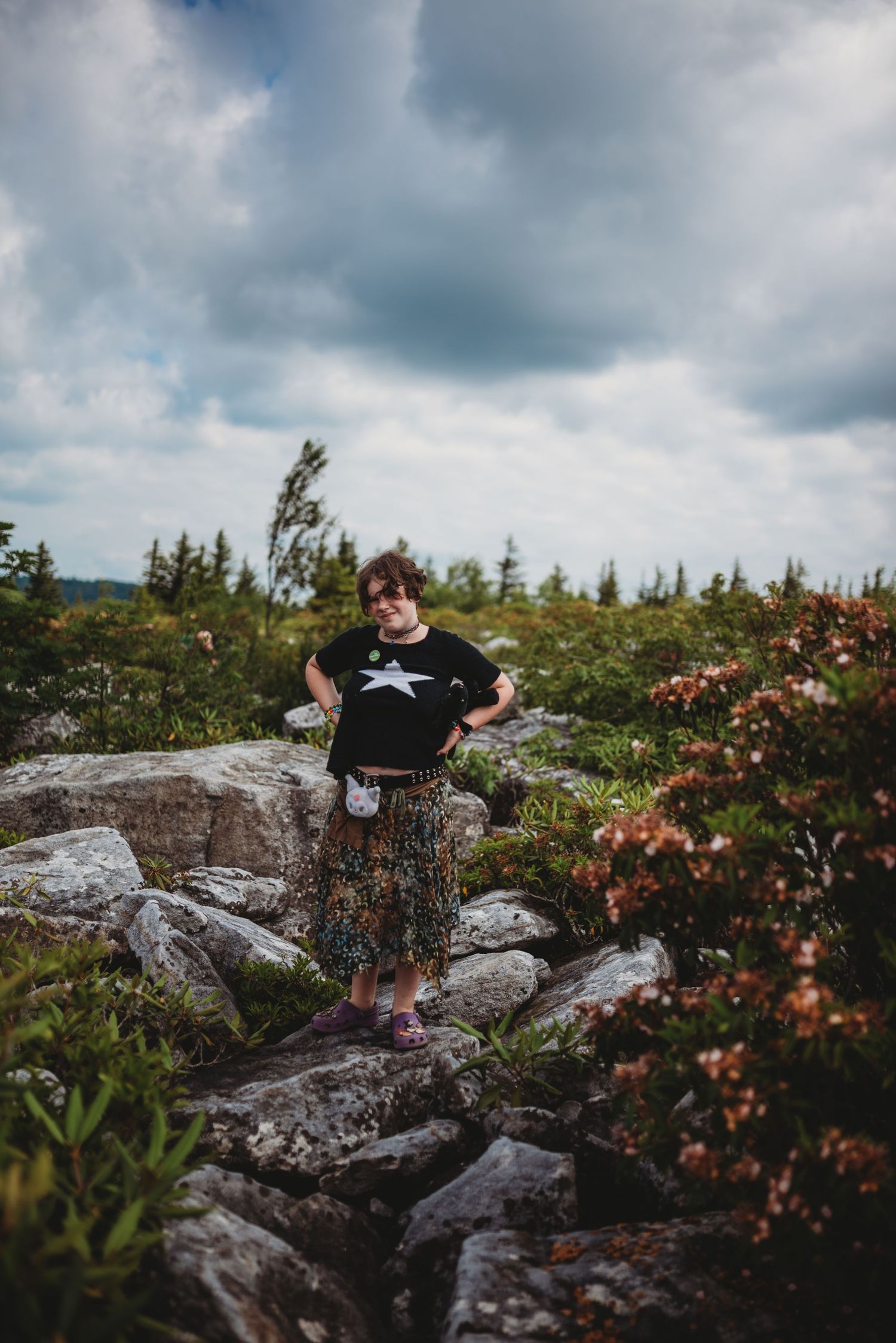 Someone standing on rocky terrain surrounded by mountain vegetation under stormy skies in Dolly Sods, WV.