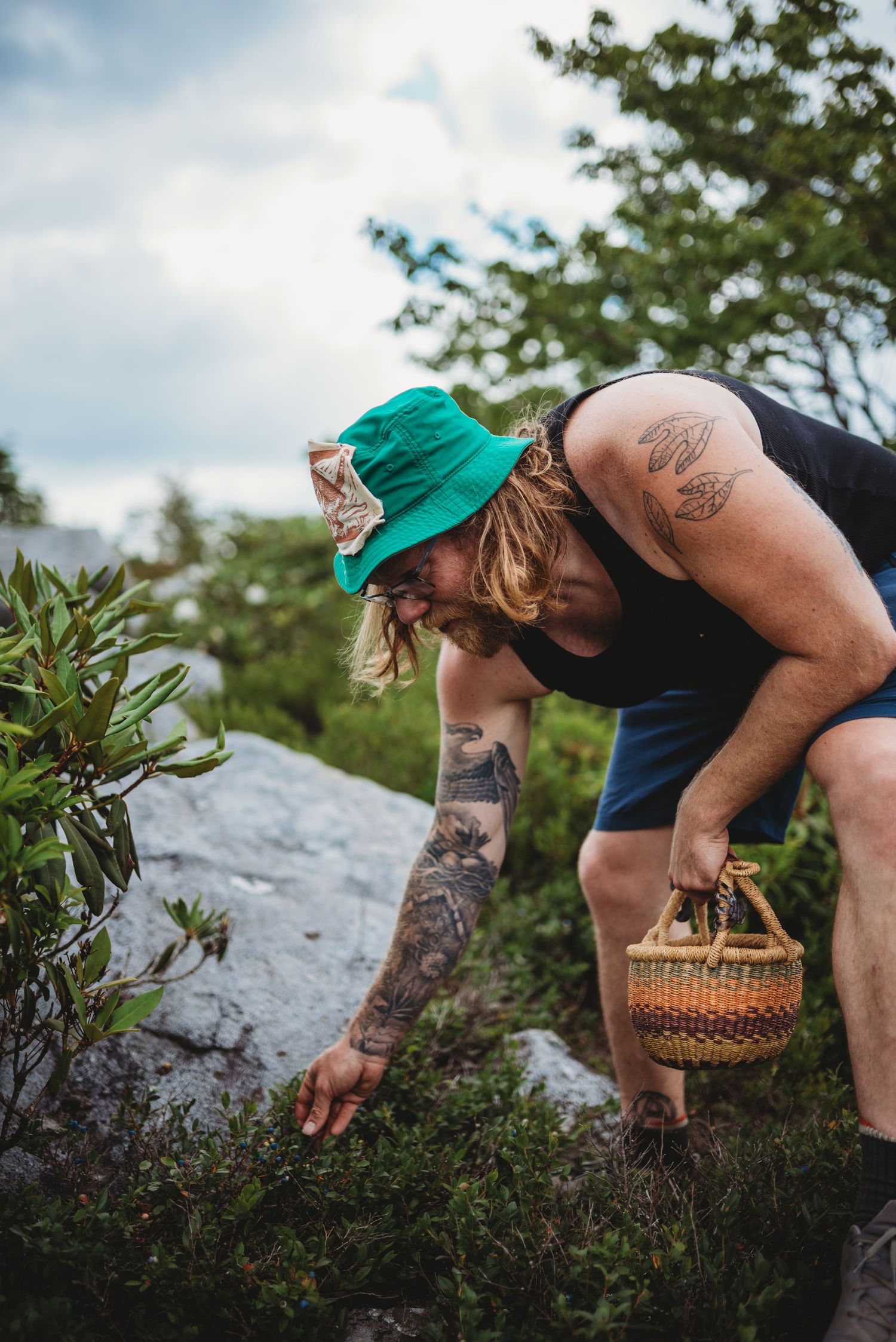 Person in green hat and tattoos foraging for wild blueberries with basket on rocky terrain.