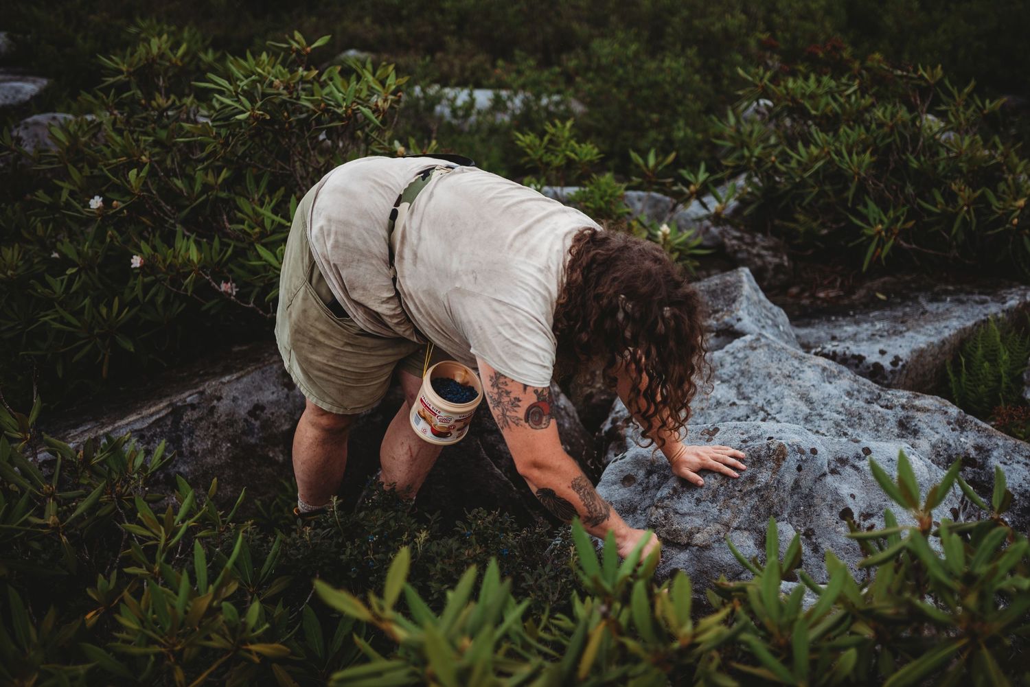 Someone in light clothing foraging for wild blueberries among rocks and vegetation.
