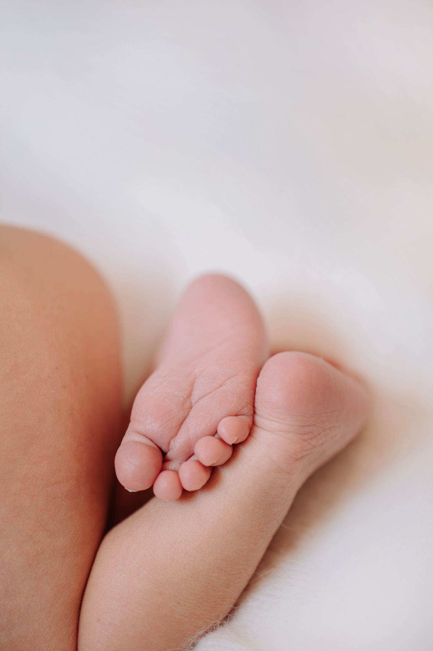 Close-up view of tiny baby toes curled up on soft white bedding.