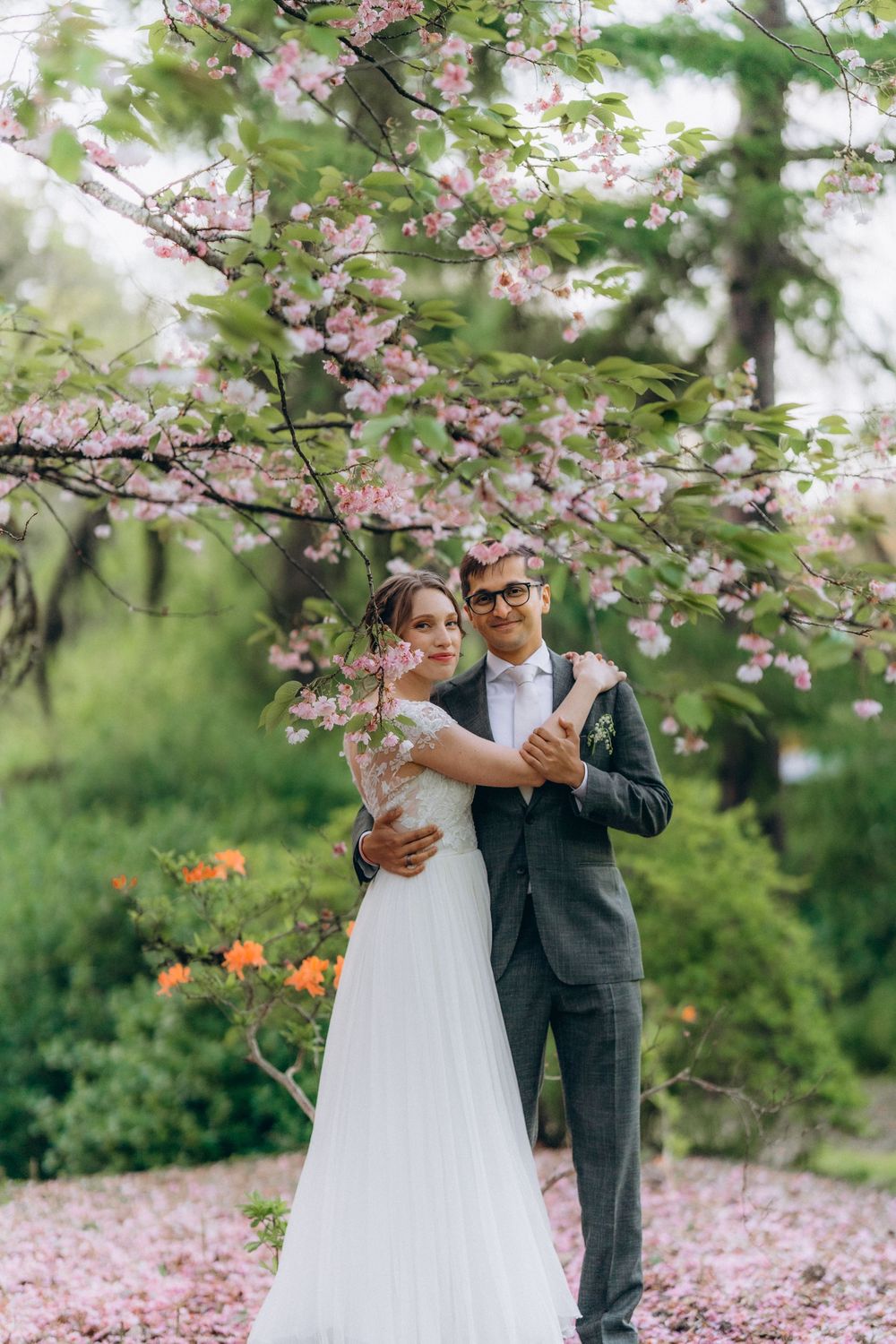 A couple embraces tenderly under blooming cherry blossom trees surrounded by scattered pink petals on the ground.