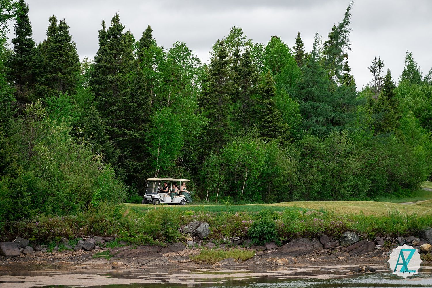 A series of forest landscape photos showing pine trees and rocky shoreline along a lake or waterway.
