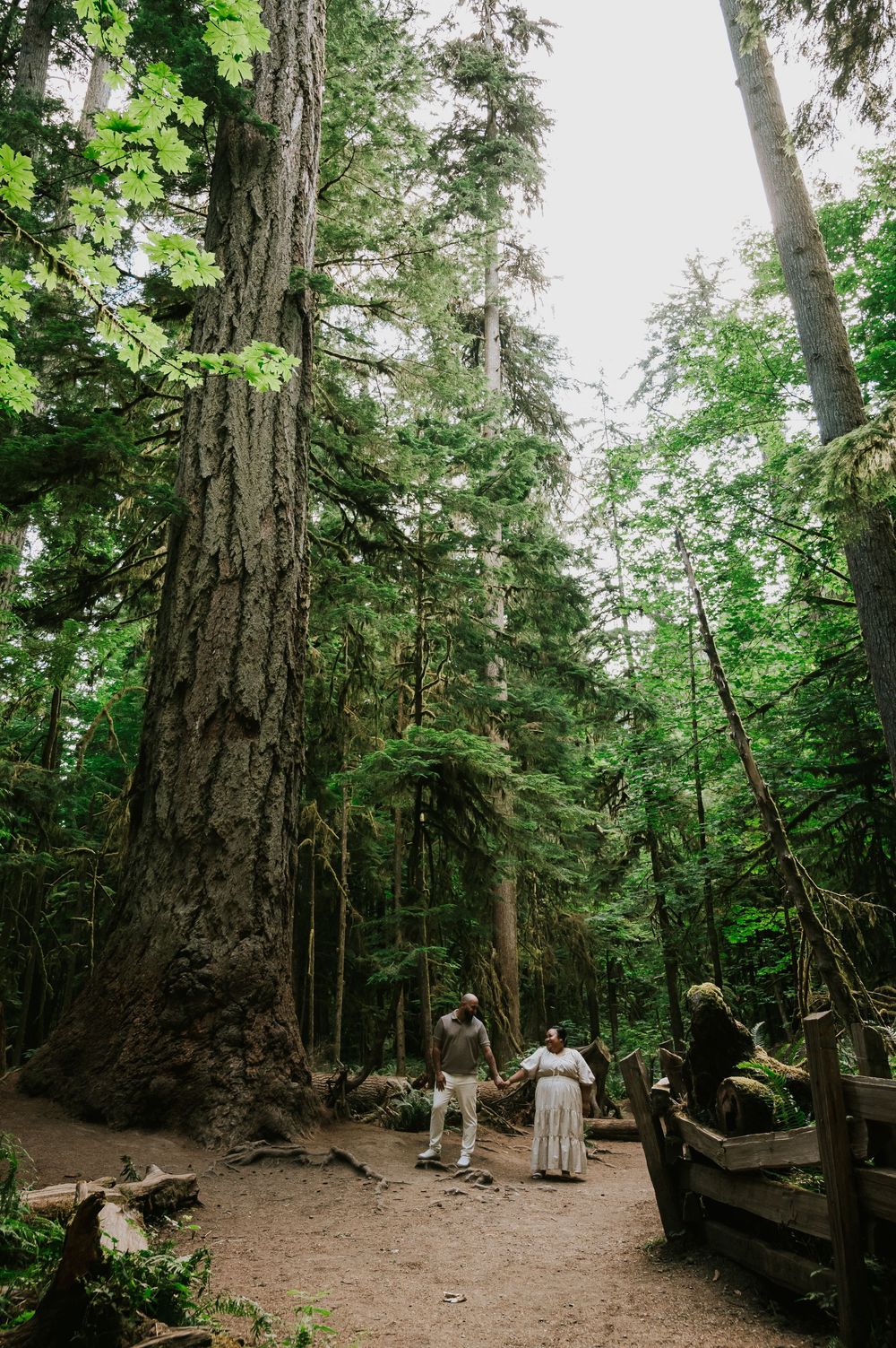 Photography of engaged couple holding hands by huge fir forest in Cathedral Groves, MacMillan Park. Vancouver Island adventure photographer