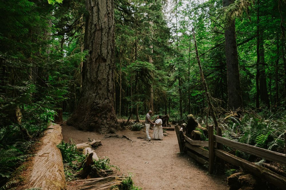 Photography of engaged couple by hug fir tree forest in Cathedral Groves, MacMillan Park. Vancouver Island adventure photographer