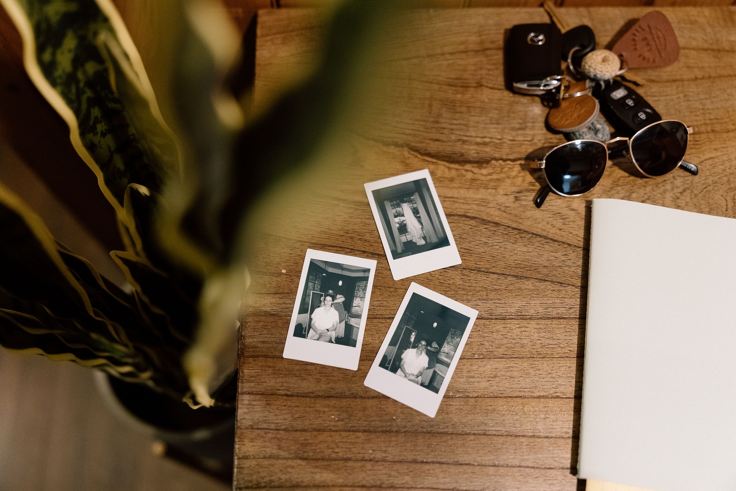Vintage polaroid photos and sunglasses arranged on wooden table next to green plant and blank notebook.