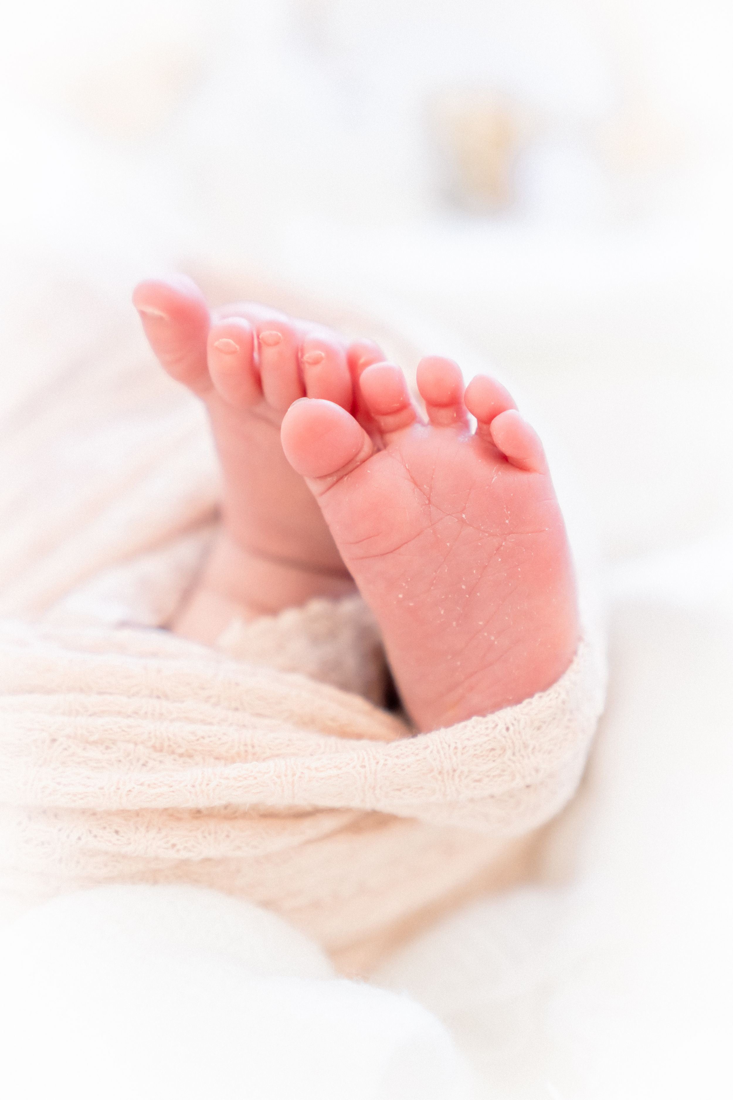 tiny baby feet picture perfect newborn session in Tampa florida