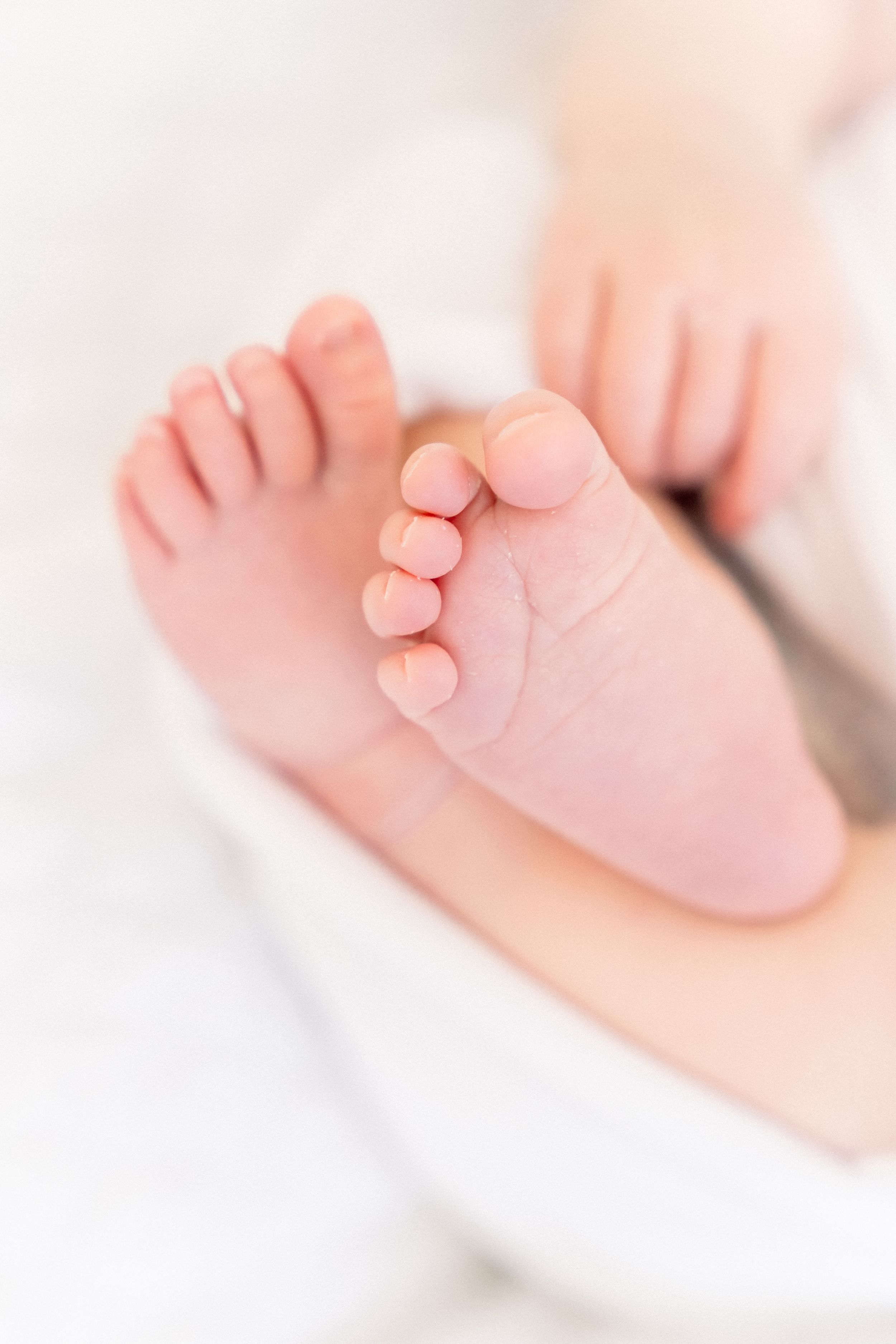 baby toes captured in newborn session in largo florida