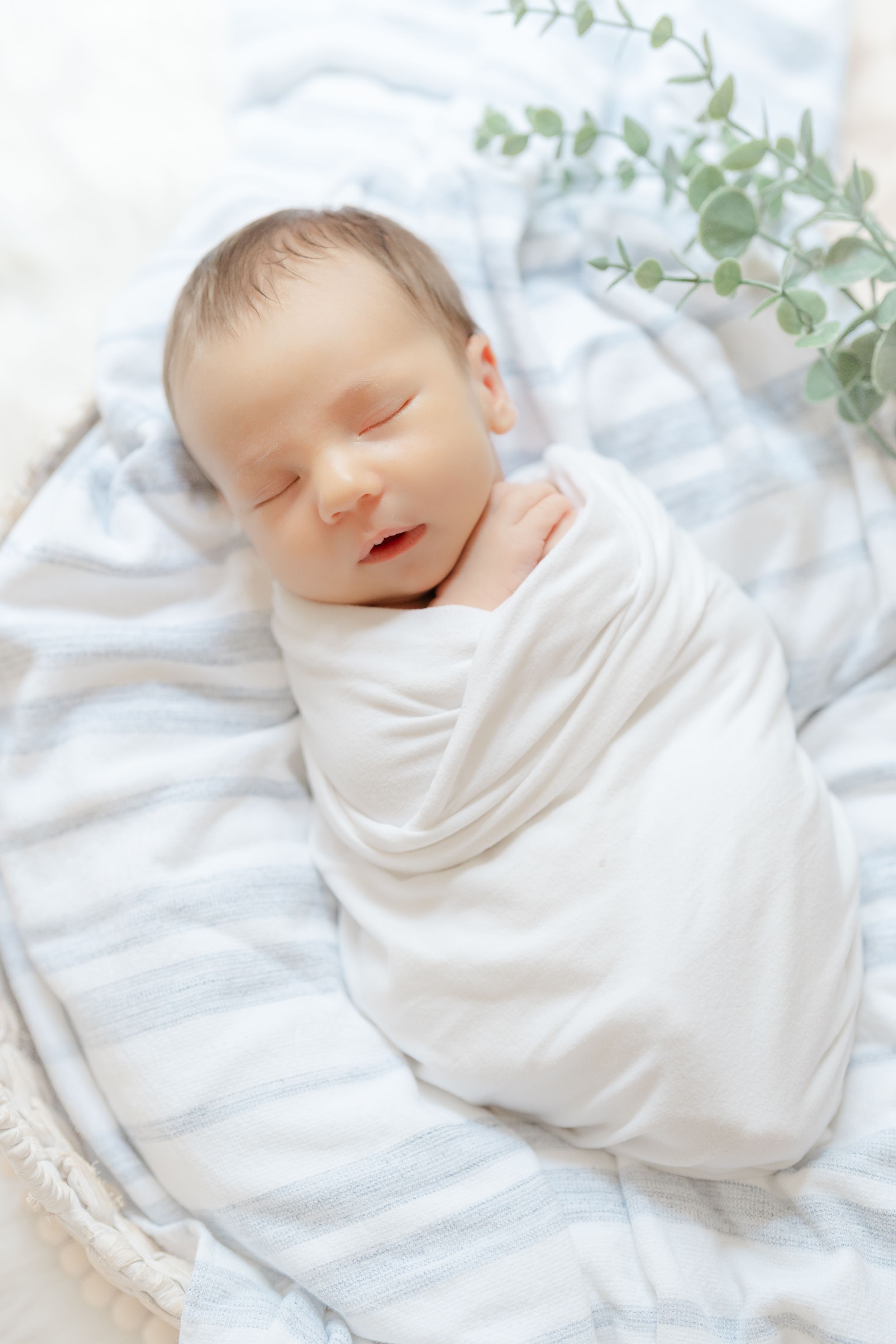 swaddled baby sleeping in a basket during his newborn session in Tampa