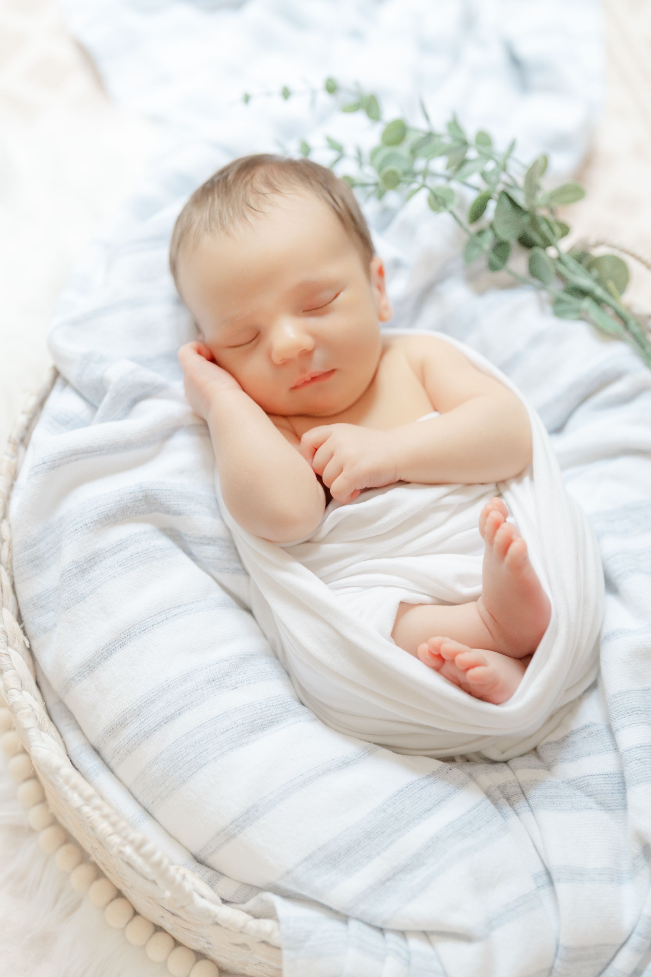 sleeping newborn in a basket during his newborn photoshoot in Tampa
