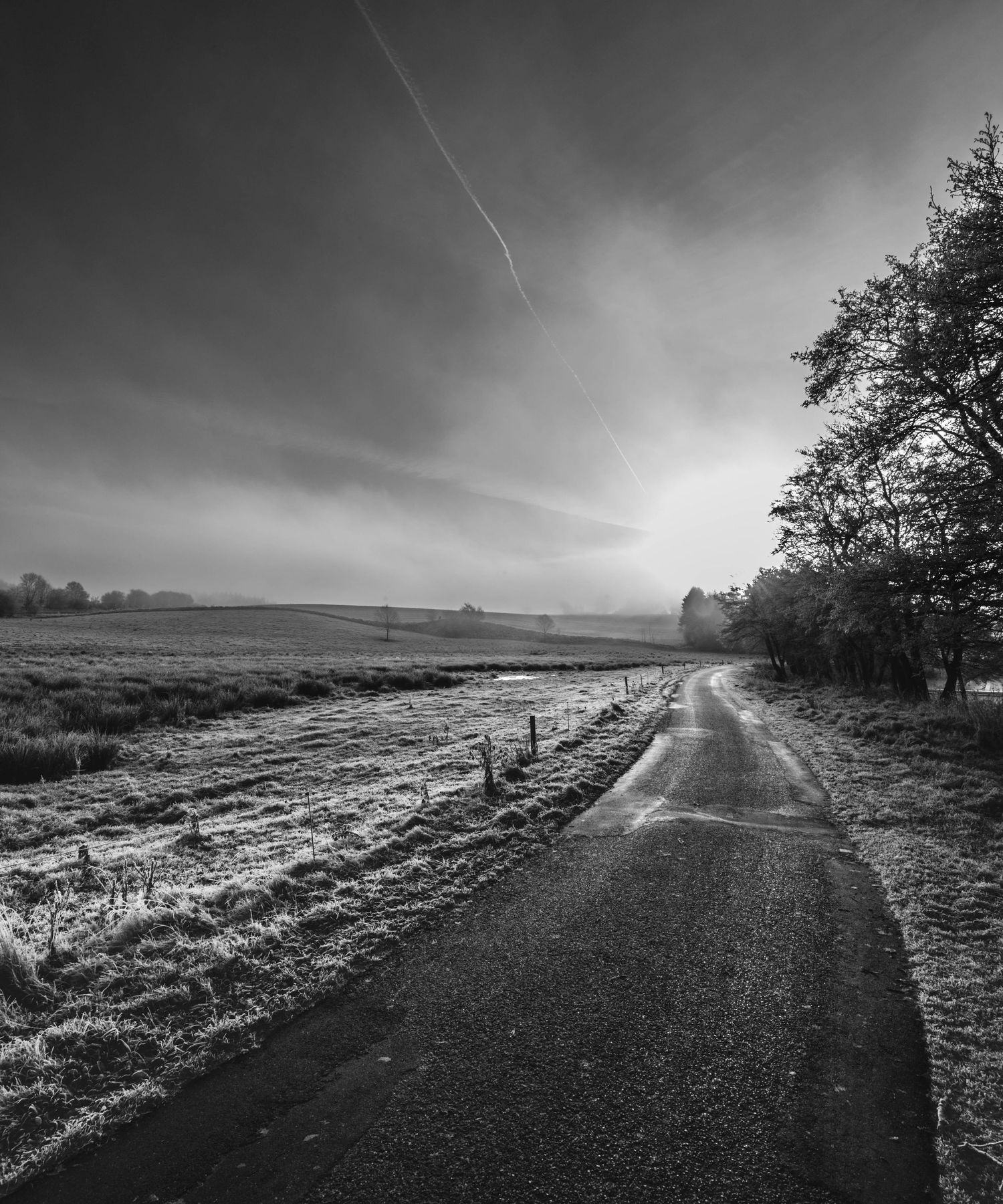 A misty black and white landscape with a winding country road leading through frosty fields and trees at dawn.
