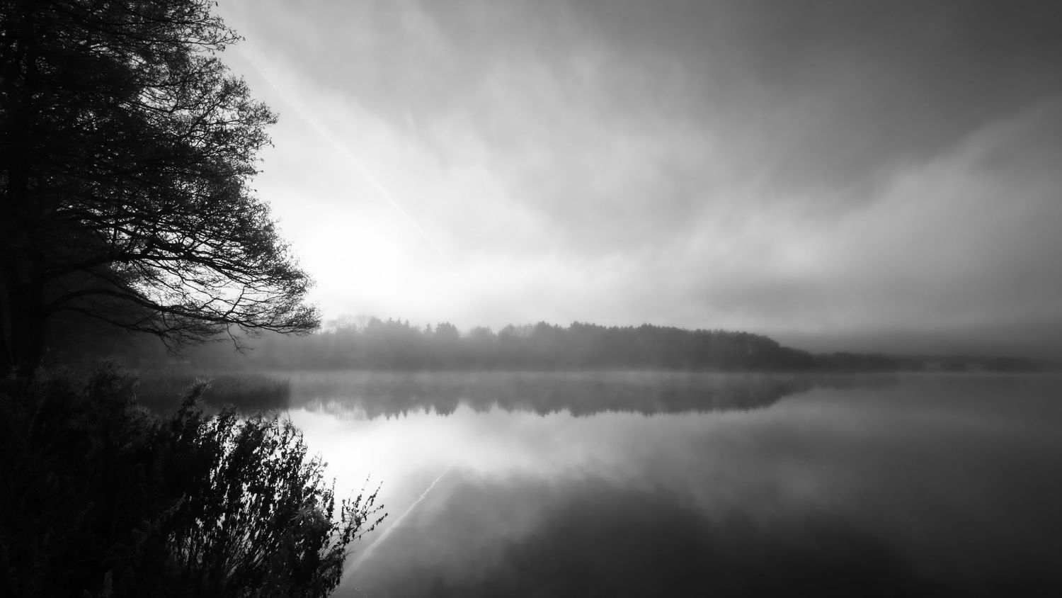 Misty black and white landscape of a serene lake at dawn with trees silhouetted against foggy reflective waters.