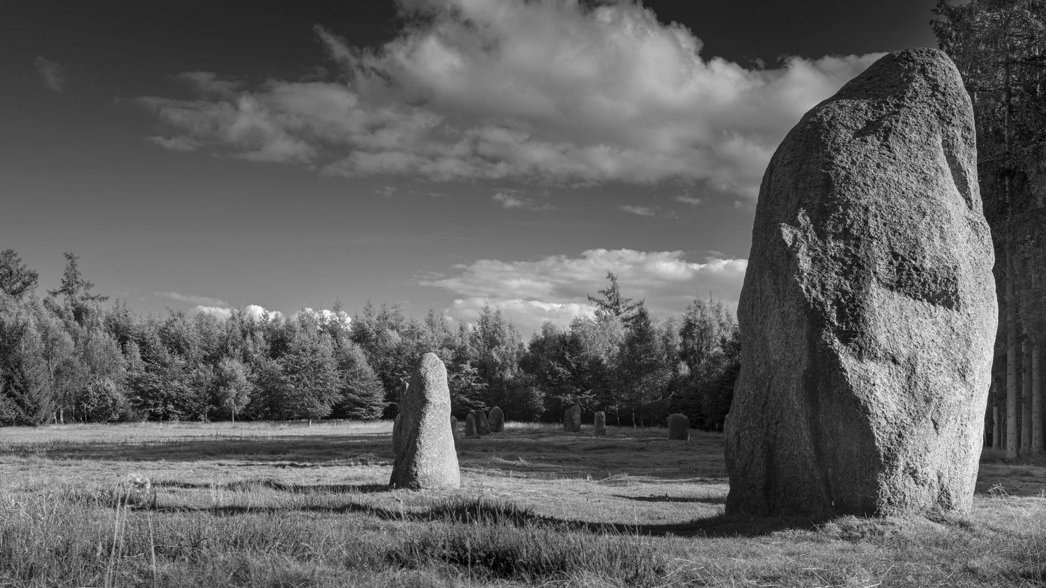 Two large standing stones in a grassy field against a dramatic black and white sky with trees in the background.