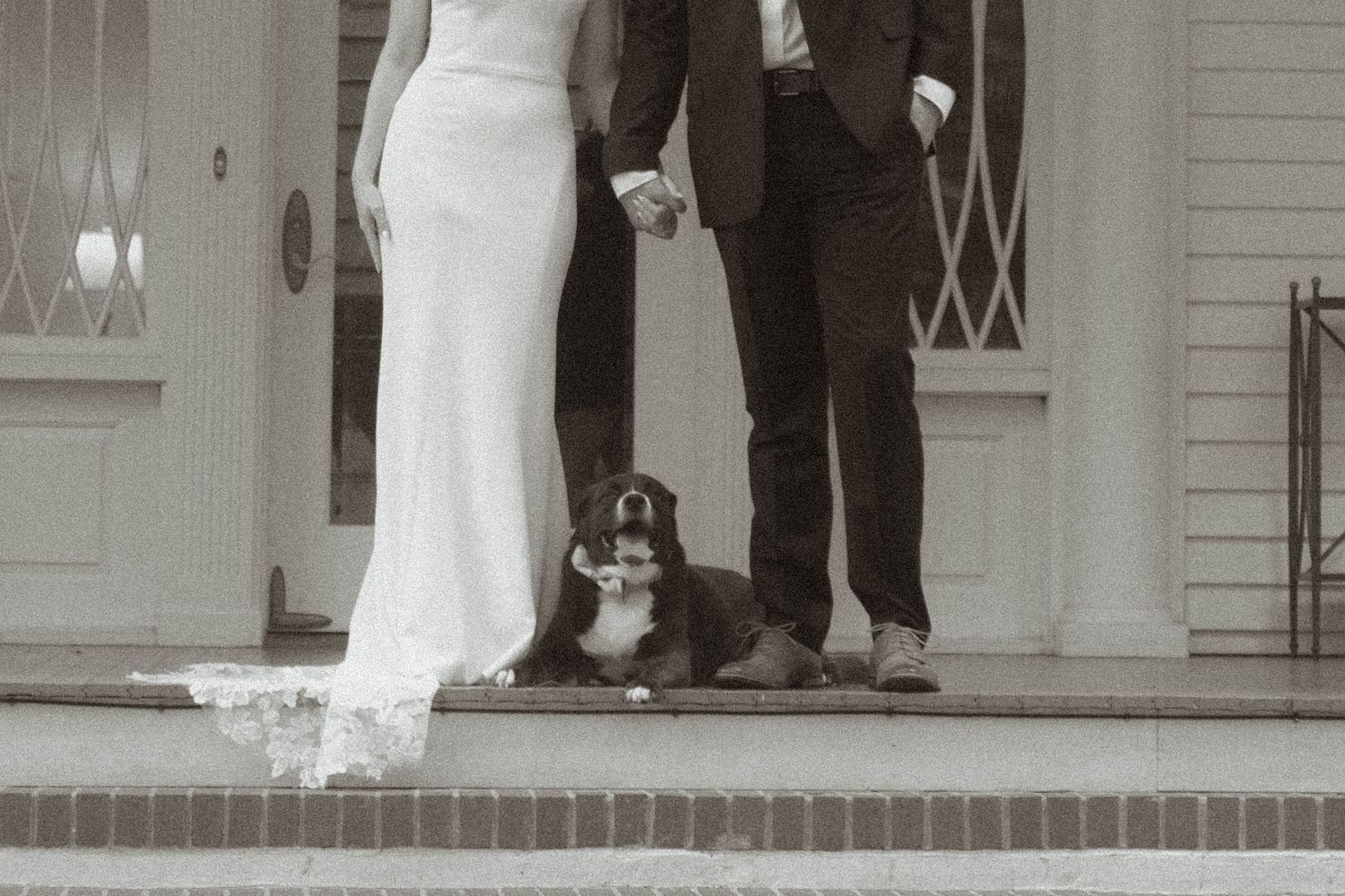 A black and white photograph showing a couple in wedding attire standing on porch steps with their dog sitting between them.