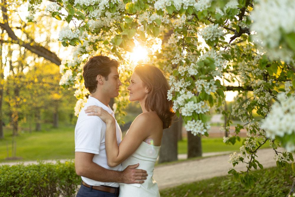 Romantic sunset moment under blooming spring cherry blossoms in a garden setting.