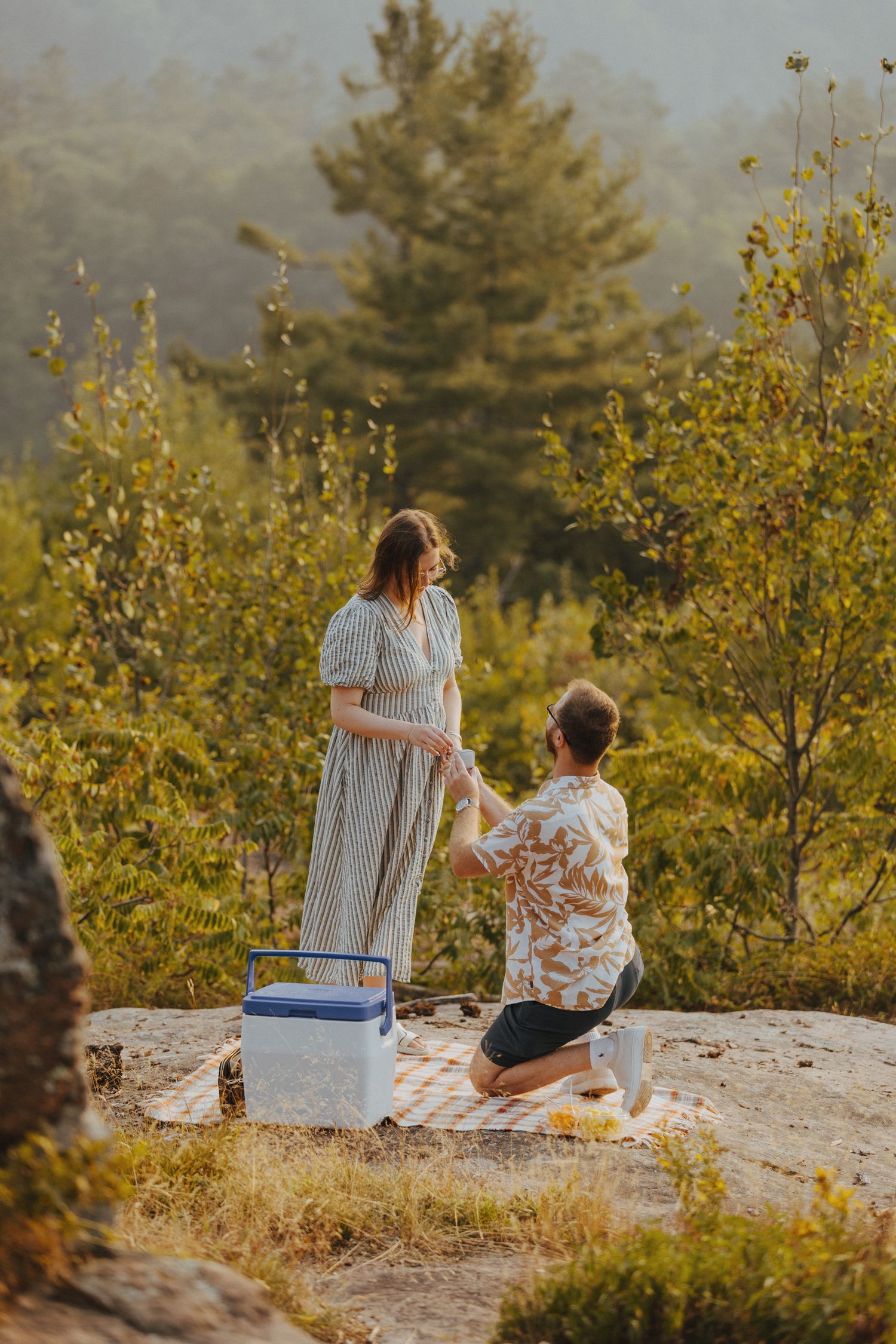 People having a picnic on a blanket overlooking a scenic mountain view.