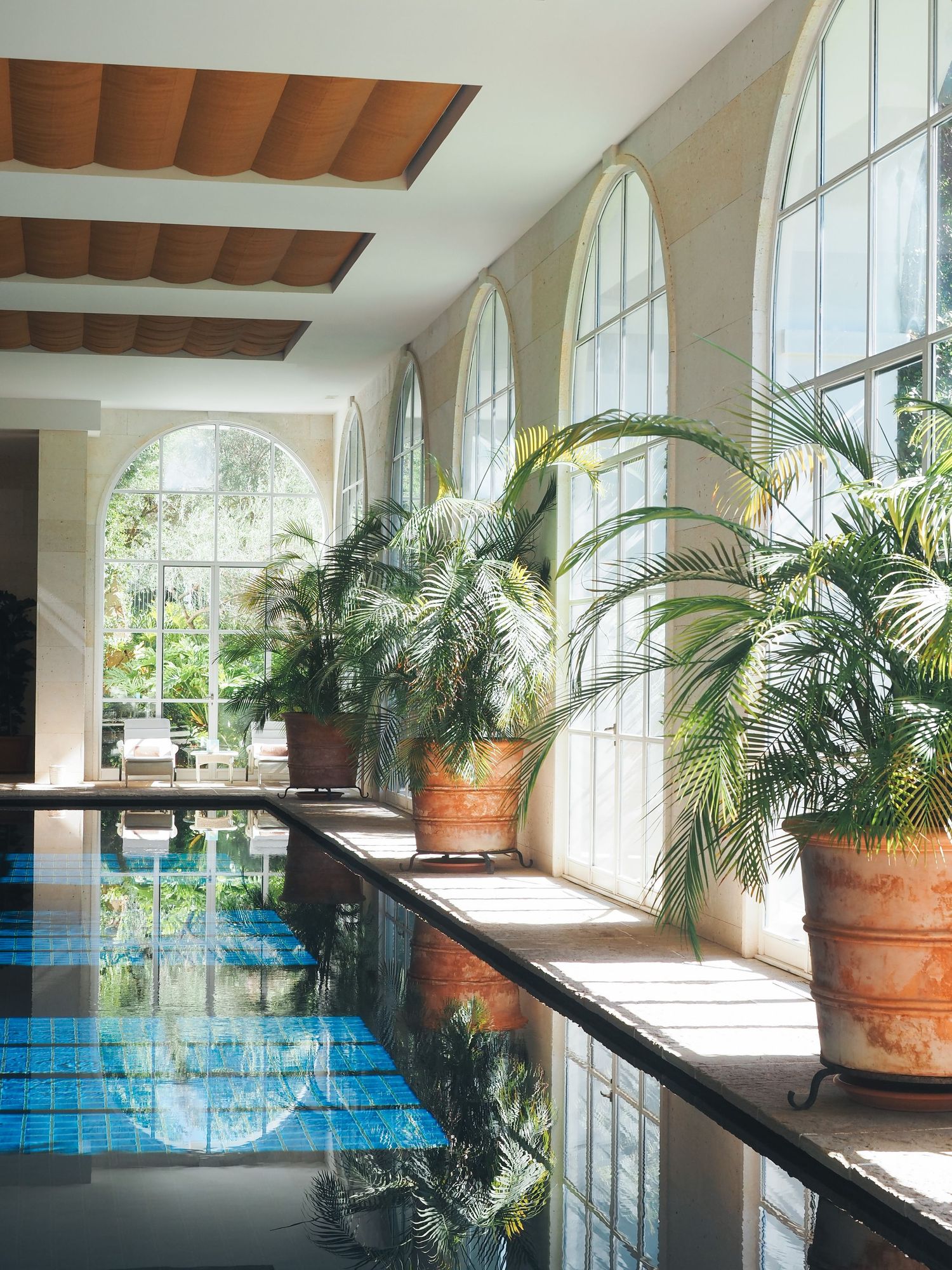 Indoor pool with arched windows and potted palm trees creating a luxurious spa atmosphere.