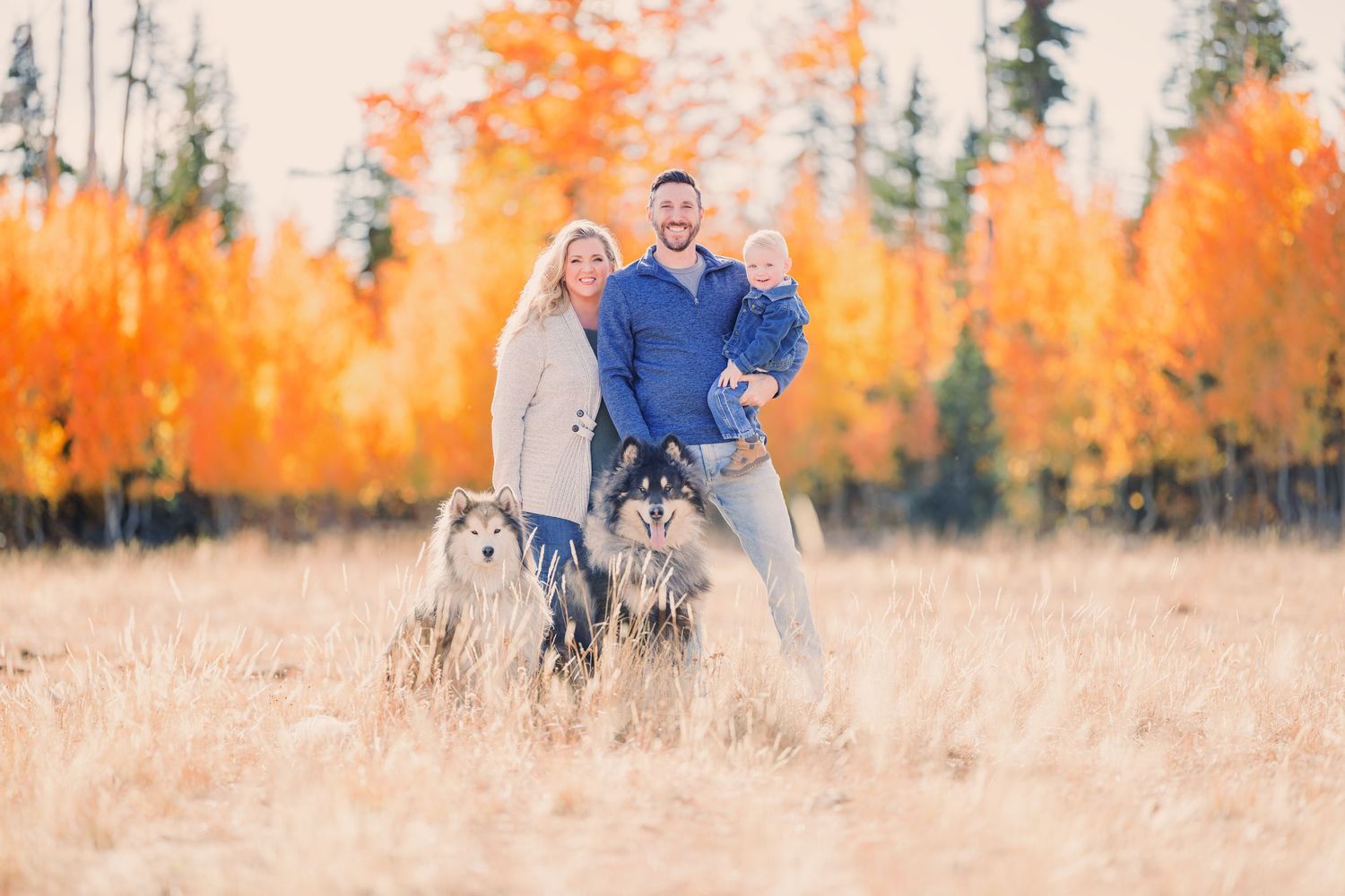 Las Vegas wedding photographers Lisa Derfler and Jamison Derfler with their alaskan malamutes