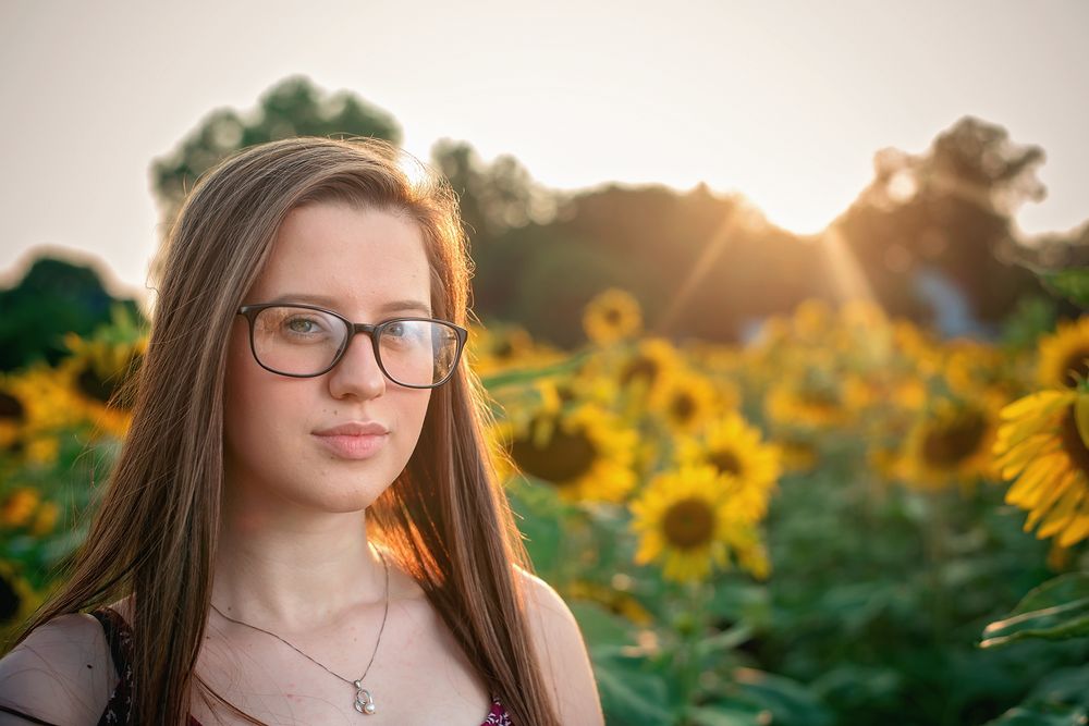 Sunflower field portrait at golden hour with sunset lighting.