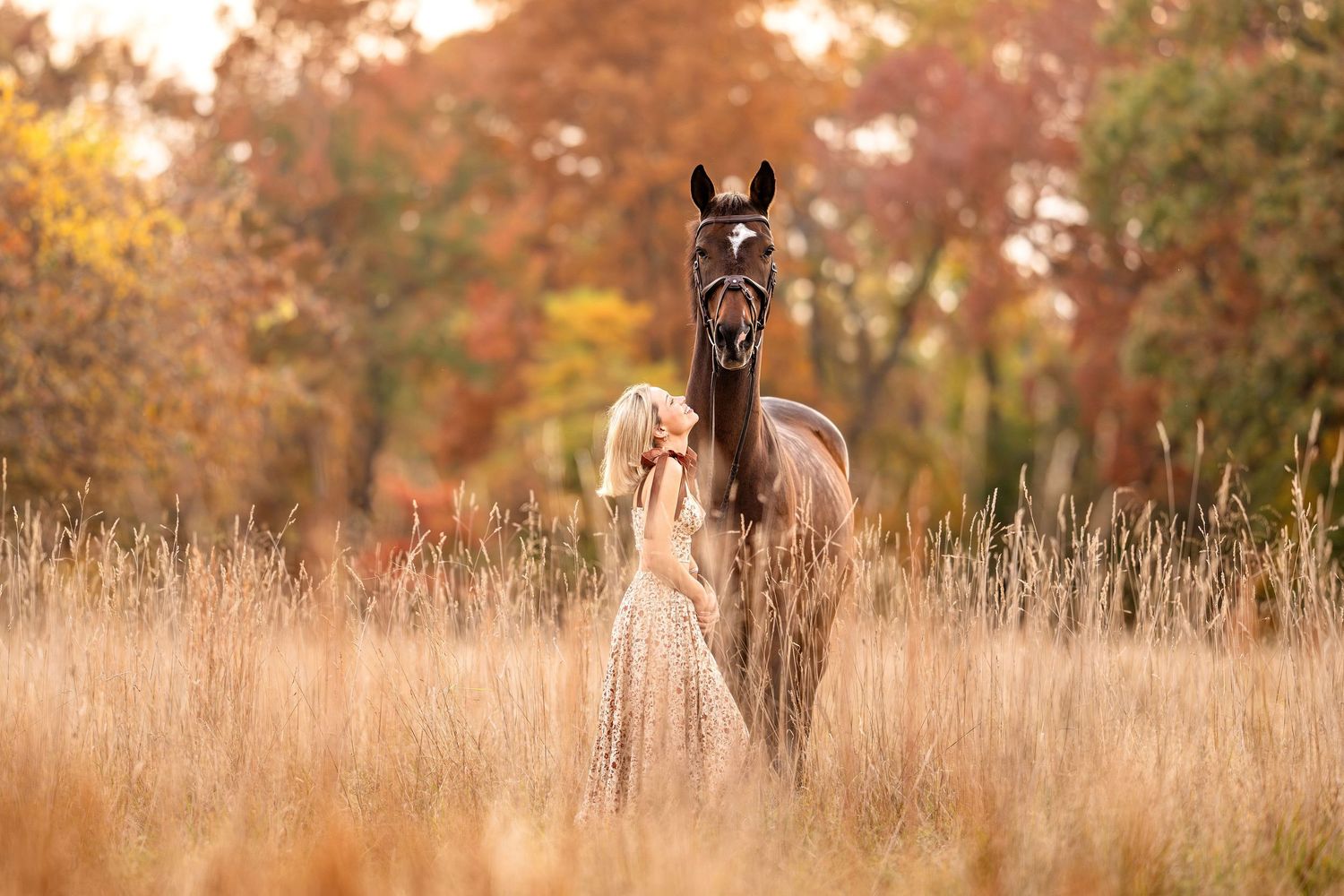 Autumn field photoshoot with horses and golden light filtering through fall foliage.