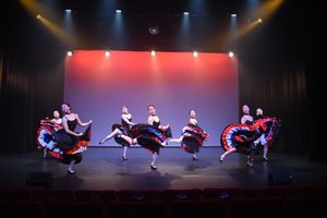 Dance Photography, Miles Davies, Miles Davies Photography, Events, low light performance Roedean Shcool