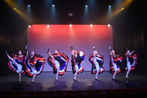 Dance Photography, Miles Davies, Miles Davies Photography, Events, low light performance Roedean Shcool