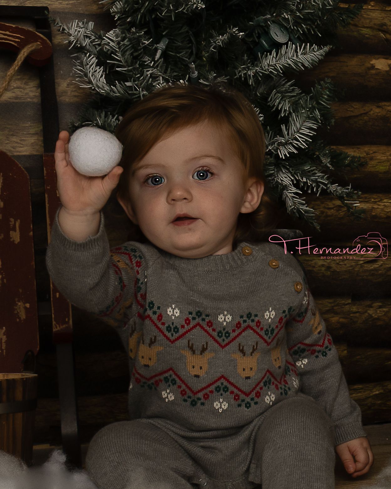#holidayphotosessions #childrensphotographer #SouthCarolinaphotographer