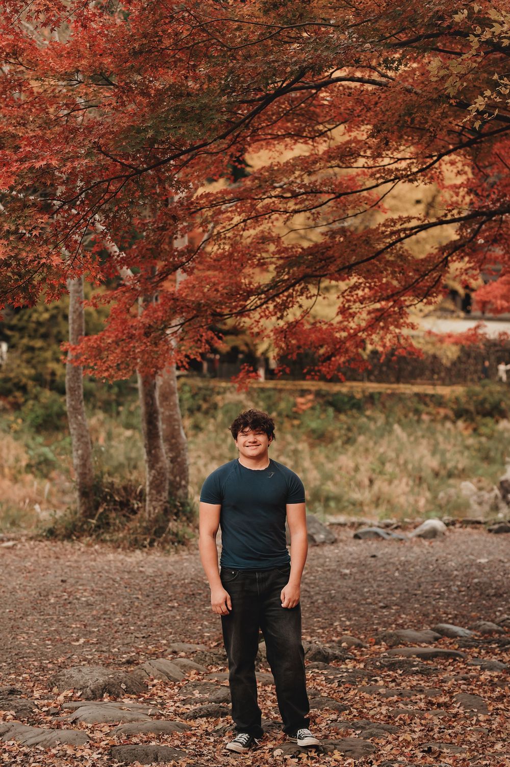 Red maple trees create a vibrant autumn canopy over a forest path with scattered fallen leaves on the ground.