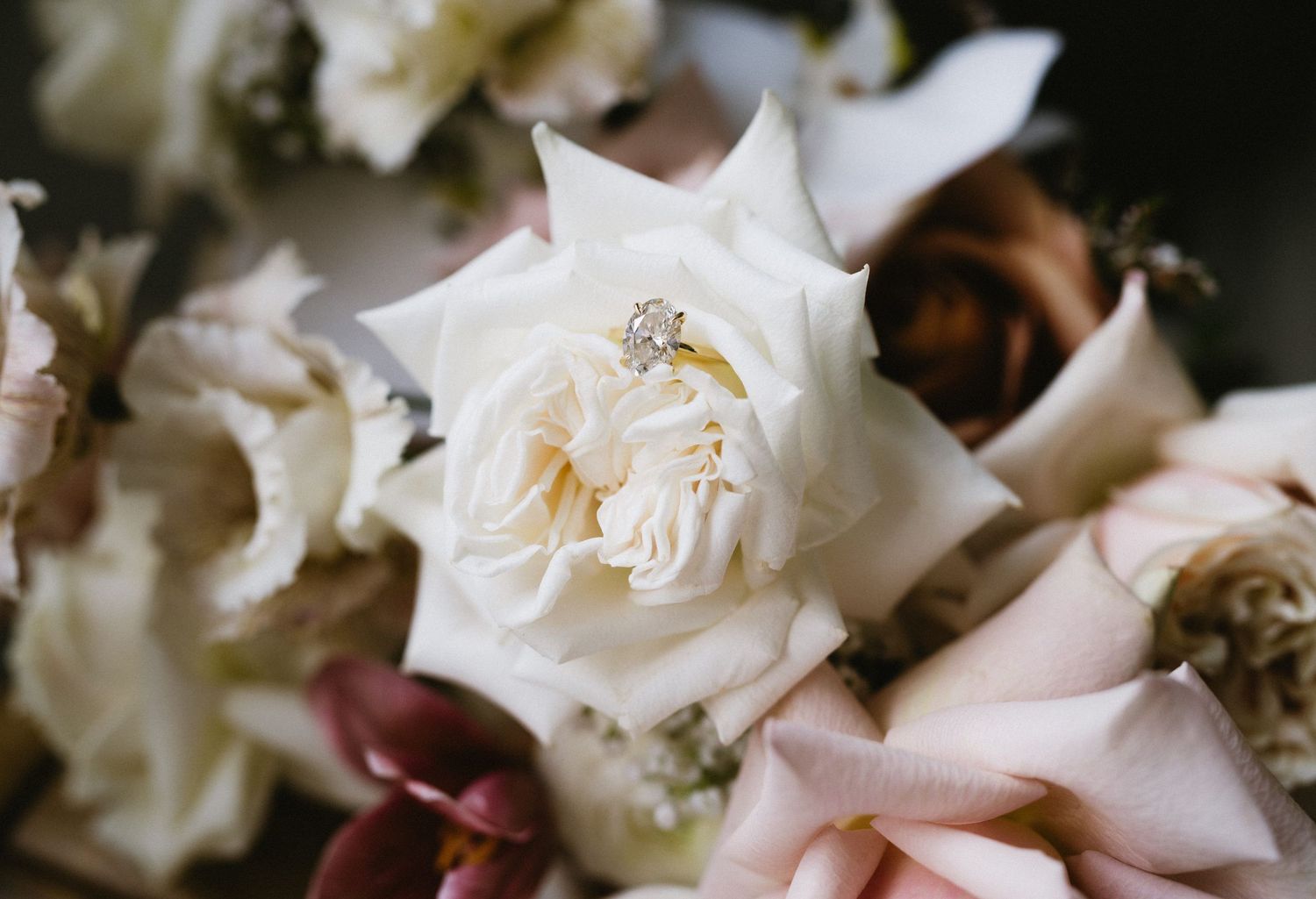 Close-up of delicate white roses with soft pink petals in a wedding bouquet arrangement. Medicine Hat Wedding and Portrait Photographer.