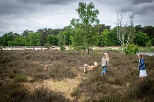 Group walking through a moody landscape with stormy clouds and heathland.
