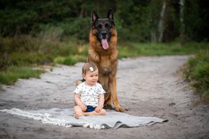 A German Shepherd dog sits protectively behind a small child on a blanket outdoors.