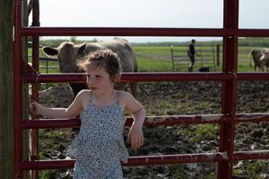 A person in a polka dot dress leans against a red metal gate on a farm with horses visible in the background.