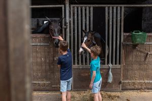 Two people stand outside a stable area with horses visible in the background.