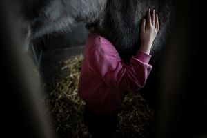 Child in pink shirt gently petting a dark horse in a dimly lit stable with hay on the ground.