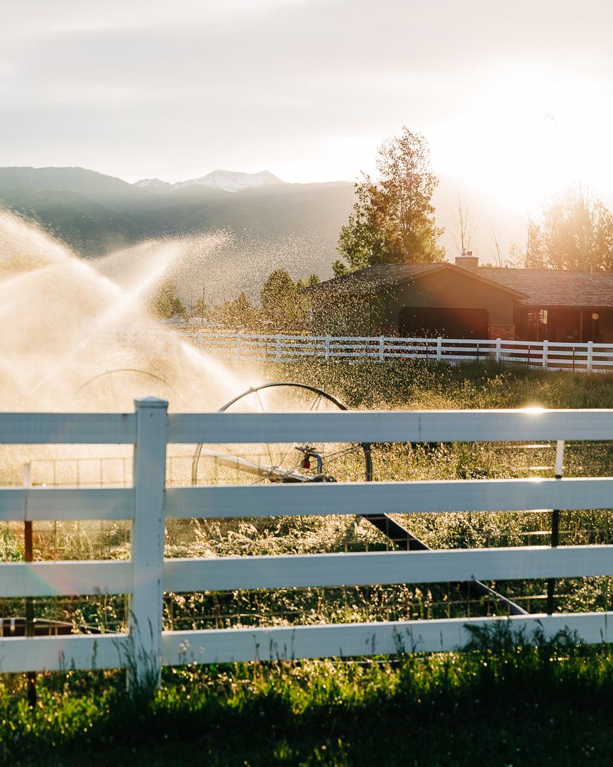 Water sprinklers spray over a white fence at sunset with mountains and trees in the background.