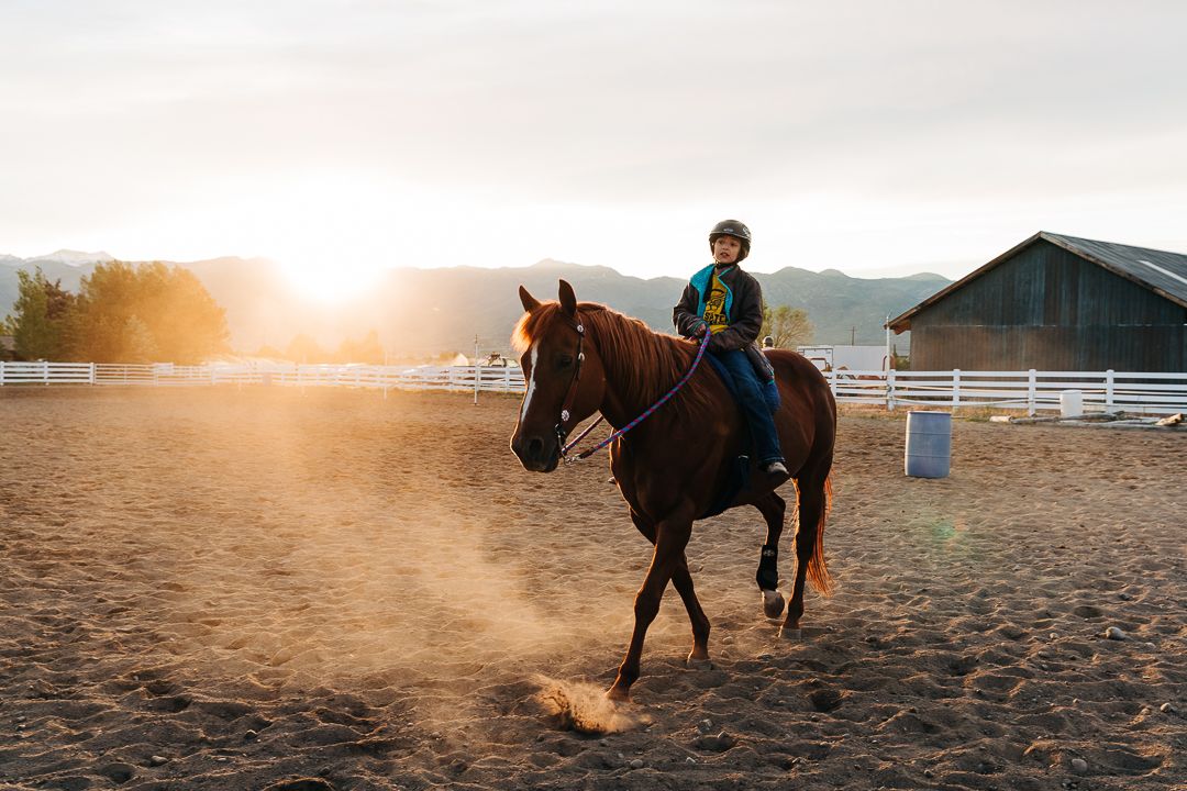 Horse and rider training in a dusty arena during golden sunset with mountain backdrop.