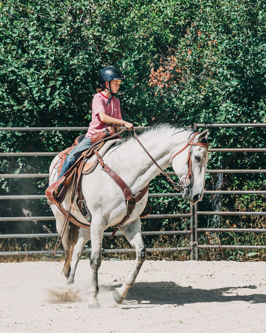 Equestrian student practicing horseback riding on a white horse in an outdoor arena with safety fencing.