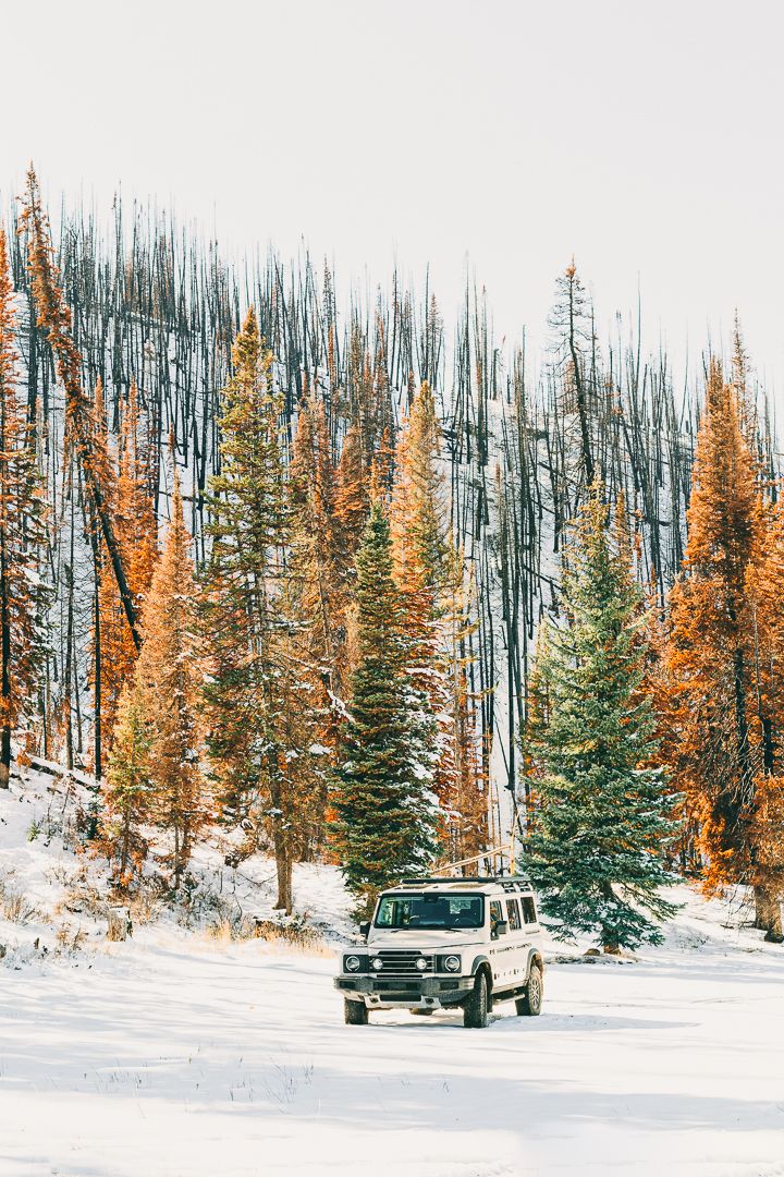 White SUV driving through snowy forest with orange autumn larches and burnt trees in winter landscape.