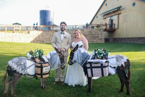 A couple poses with two donkeys carrying beer kegs on a farm with a blue water tower in the background.