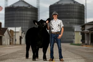 Joe - Templeton, Iowa