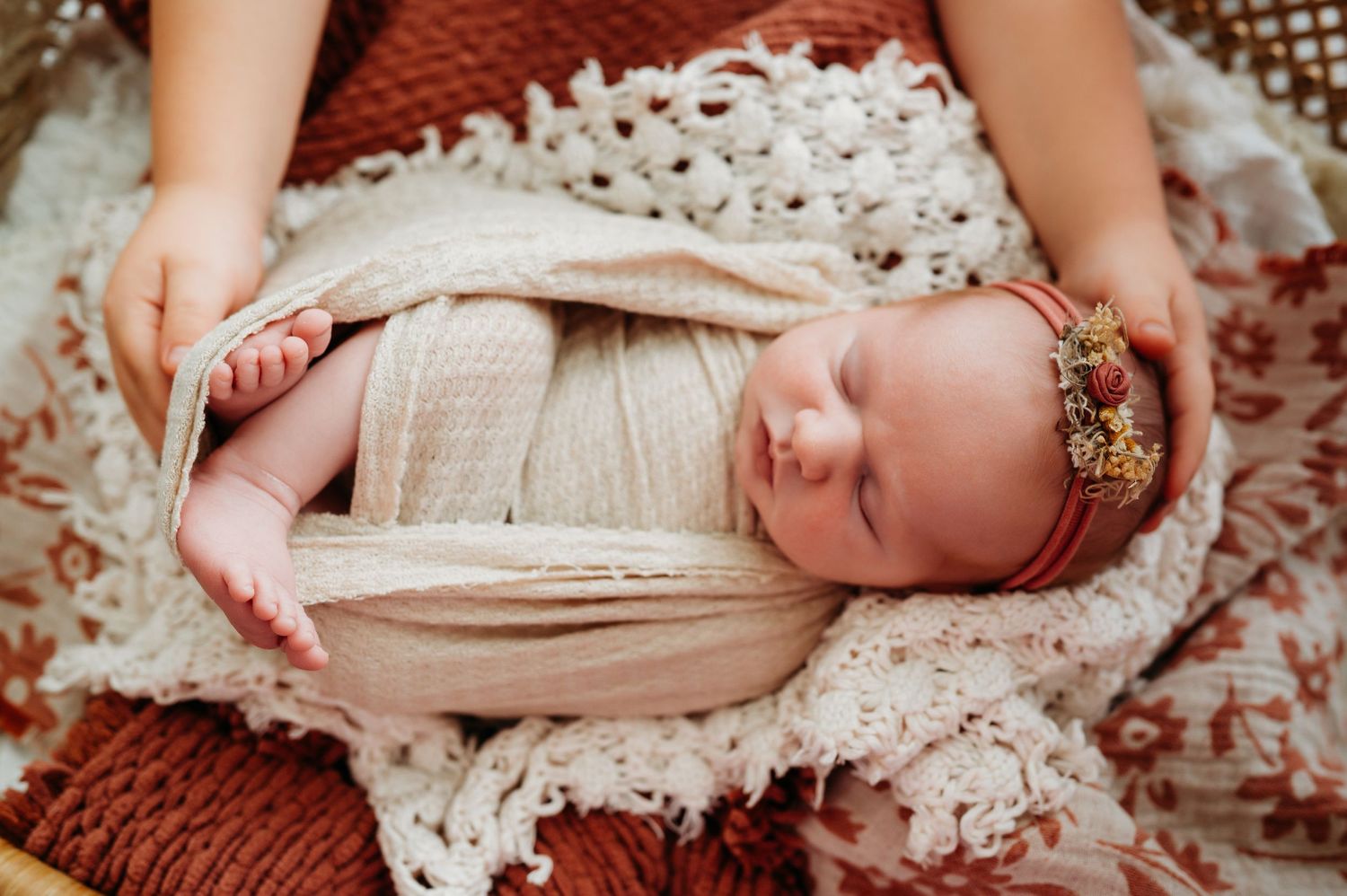 Newborn Photographer in Tampa and Lakeland