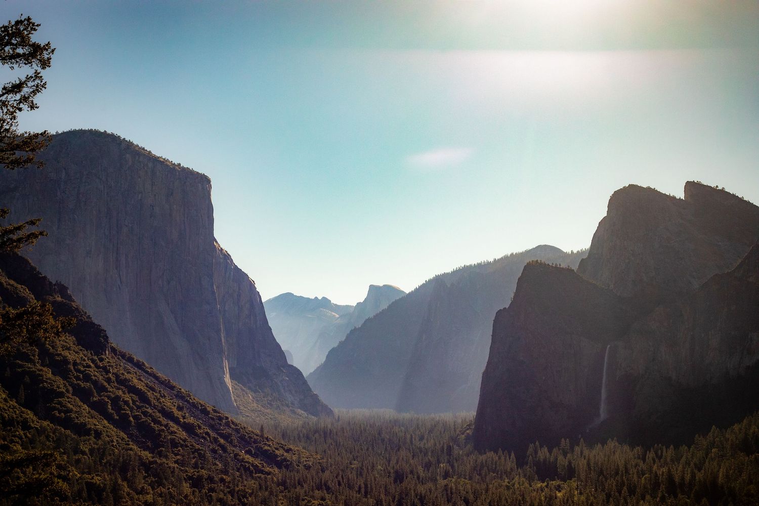 Panoramic view of Yosemite Valley with El Capitan, dense pine forests, and a waterfall under a clear blue sky.