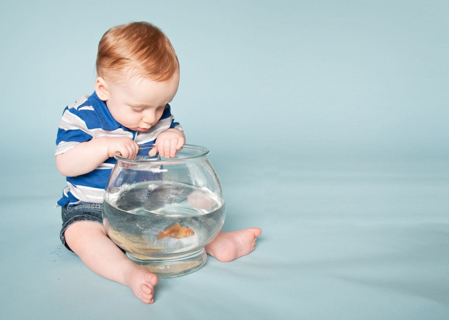 toddler looking at fish in a bowl