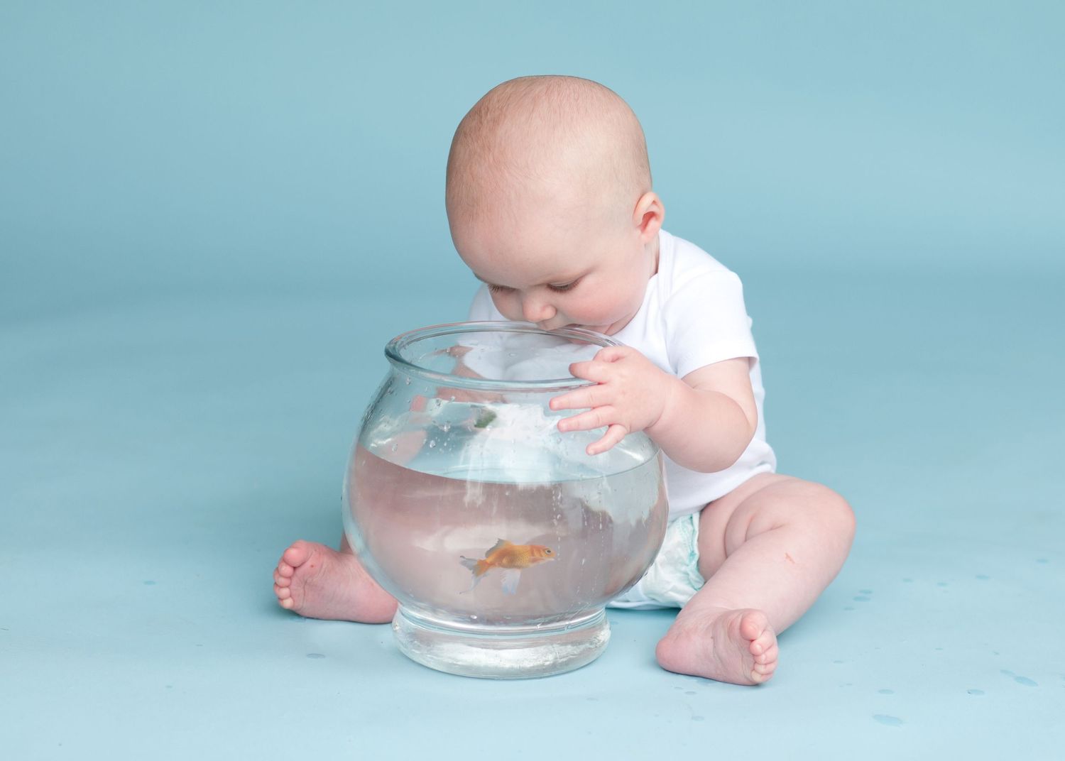 toddler looking at fish in a bowl
