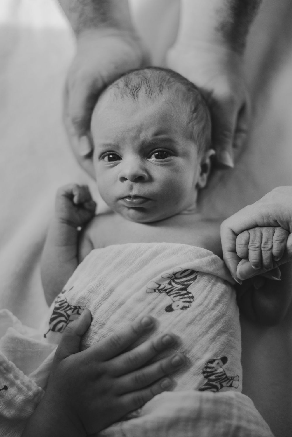 Lifestyle newborn session in my downtown Zionsville Indiana studio