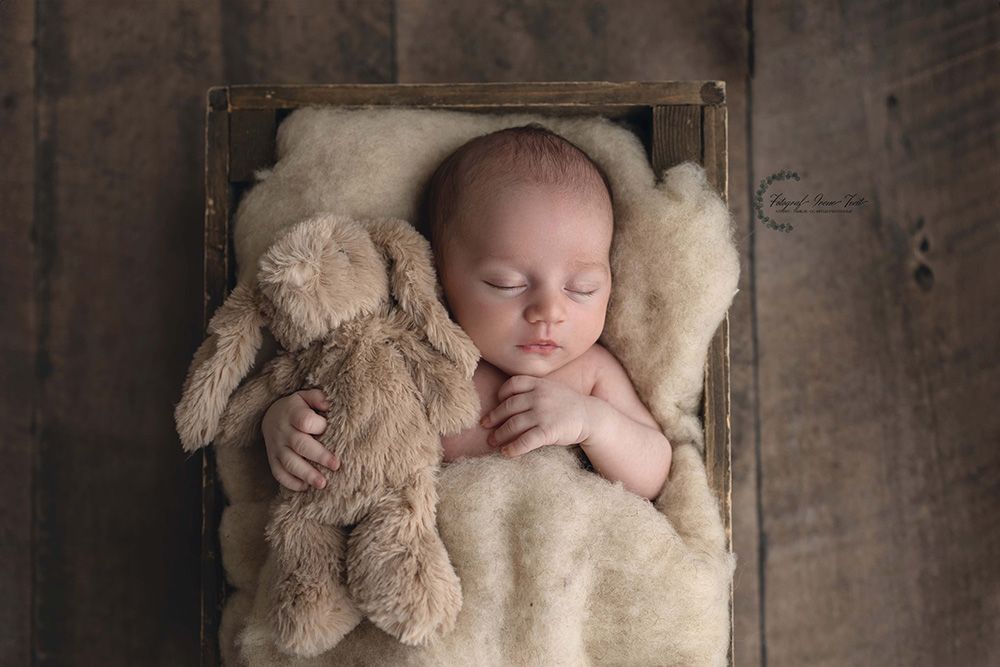 nyfødt gutt i trekasse, studio bilder av en nyfødt fra Haugalandet, tatt i studioet til fotograf irene tveit, profesjonell fotograf irene