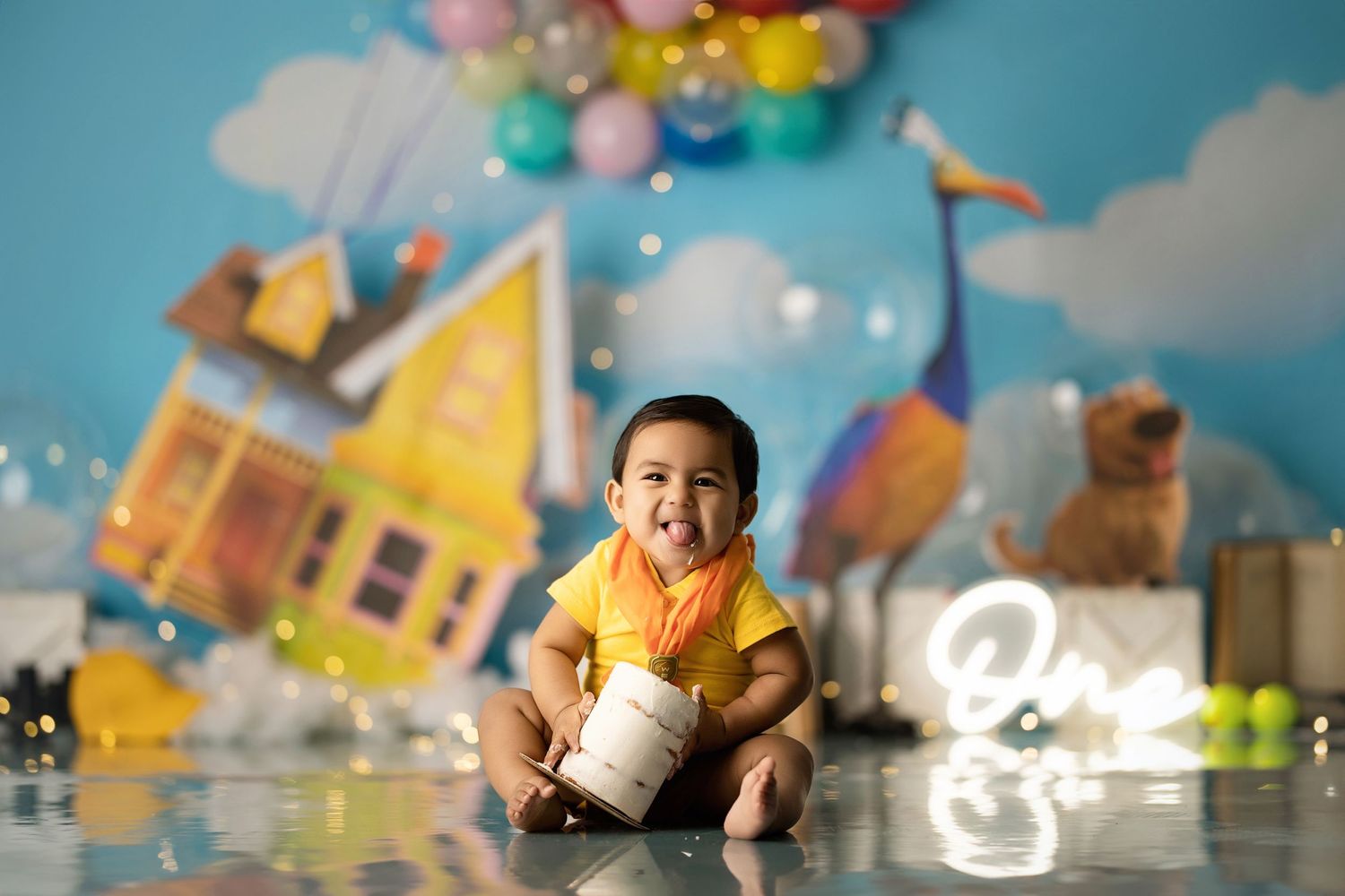 Movie "UP" photoshoot for first birthday!
