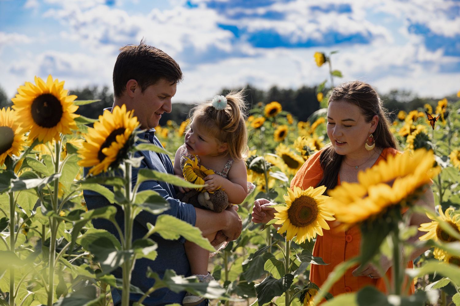 Family explores a vibrant sunflower field under bright blue summer skies.