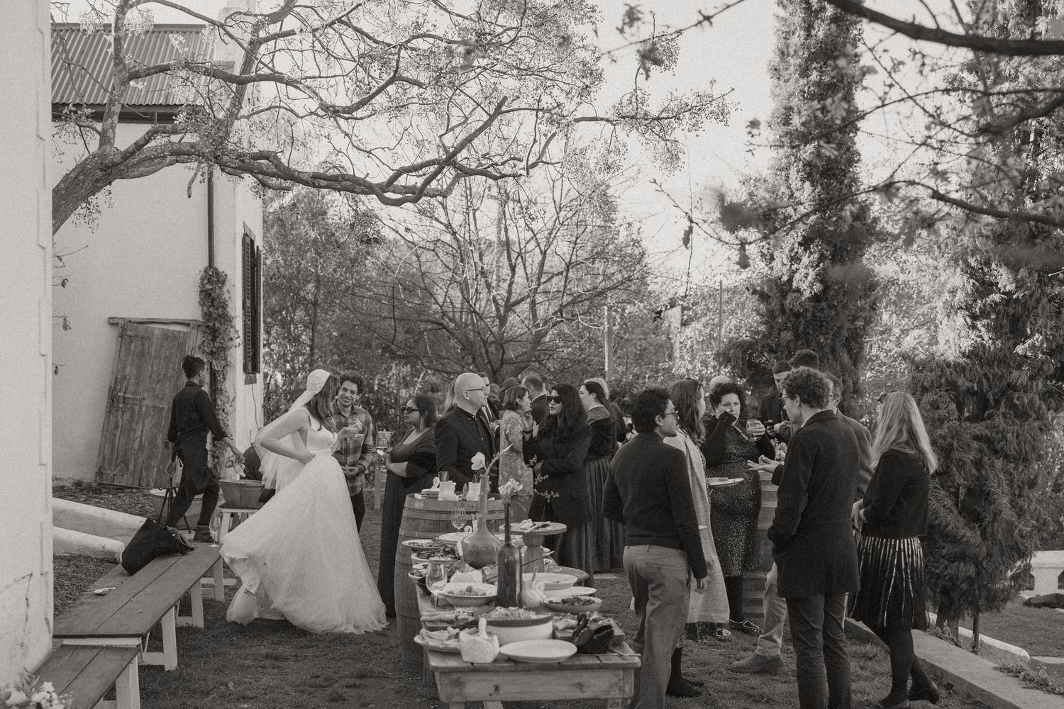 Alexia and Rael at Kalmoesfontein wedding photos capturing celebrations and beautiful portraits with Christene de Coning Photography.