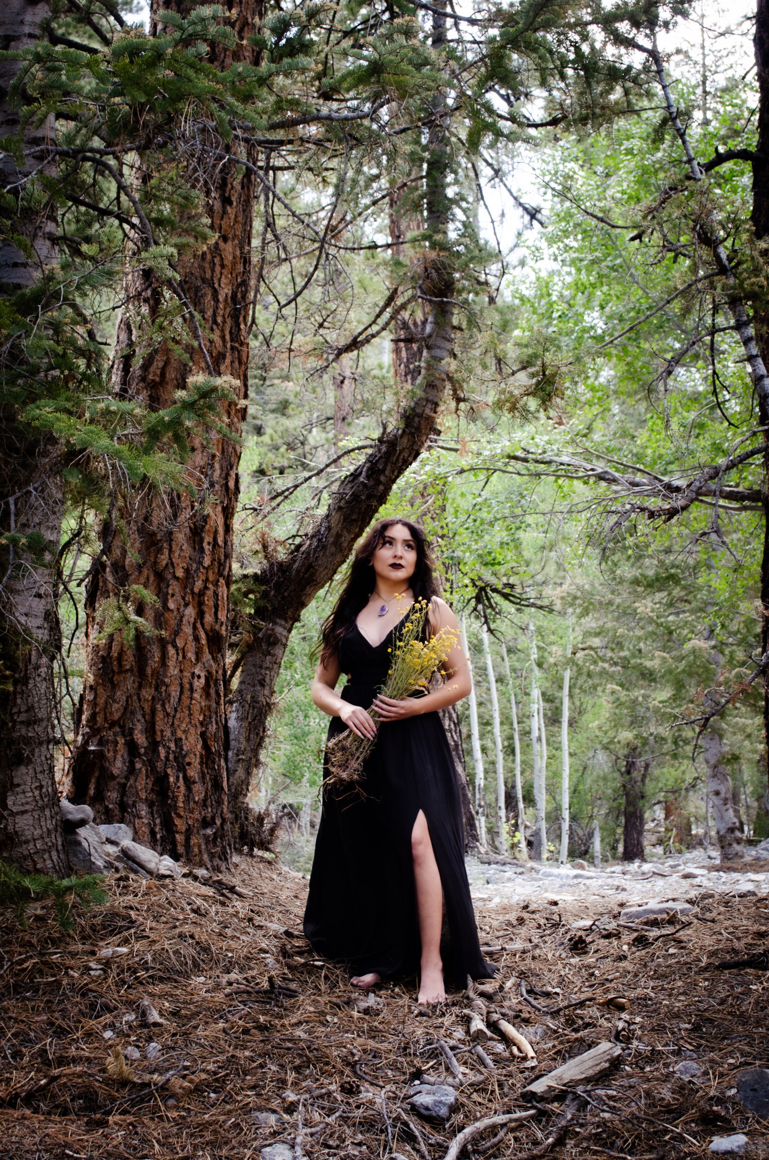 A long black dress contrasts dramatically against a forest backdrop of tall pines and birch trees on a mountain trail.